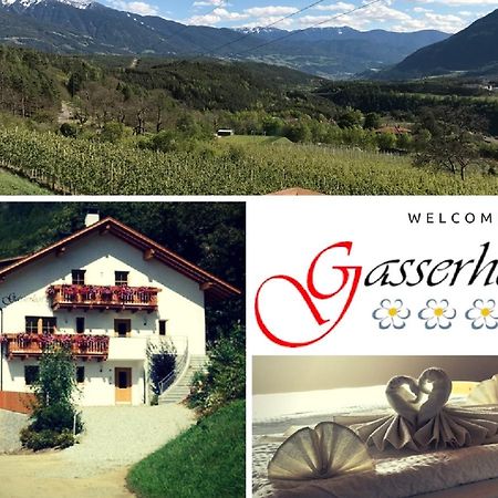 Gasserhof Aicha Natz-Schabs 외부 사진