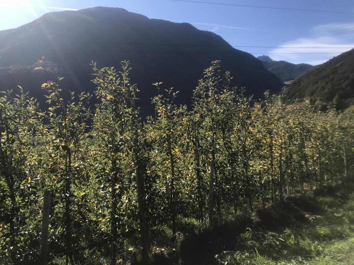 Gasserhof Aicha Natz-Schabs 외부 사진